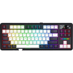 Redragon Wildslash Pro Ασύρματο Μηχανικό Gaming Πληκτρολόγιο TenKeyLess με Redragon RPC Διακόπτες RGB Black White