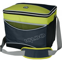 Igloo Collapse & Cool 24 Green