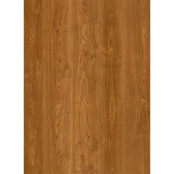 Laminate Elegance Montana Oak Allover AC5 8mm 0202 Alfa Wood