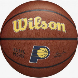 Wilson NBA Team Composite WTB3100XBIND