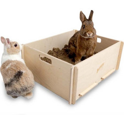 Bunny Digging Fun ΚΟΥΤΙ ΣΚΑΨΙΜΑΤΟΣ