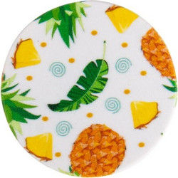 Pineapple Leaves