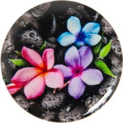 Flowers On Dark Rocks