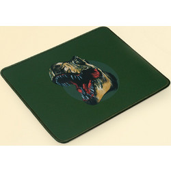 Sentio Dinosaur Green Small