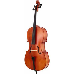 STRUNAL Ν.40/1 & Case