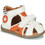 GBB Polito AH166-19
