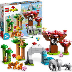 Lego Wild Animals of Asia για 2+ Ετών 10974