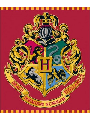 Harry Potter Fleece Blanket 120x150 cm E Plus M (5248128)