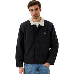 Dickies Construct Boxy Shearling-Trim DK0A4XFY-C40