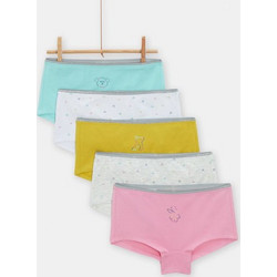 Παιδικά Εσώρουχα για Κορίτσια Multicolor Poodles 5 τμχ ΠΟΛΥΧΡΩΜΟ
