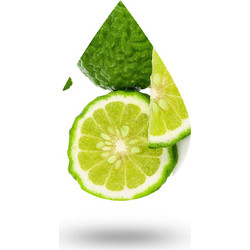 Περγαμόντο-Bergamot oil - 10 ml