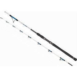 Dragon Boat Master Καλάμι Ψαρέματος για Inchiku / Slow Jigging Carbon Δίσπαστο 2m 40-200gr