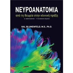 ΝΕΥΡΟΑΝΑΤΟΜΙΑ