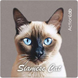 Action Lab Μαγνητάκι Magnet Siamese Cat