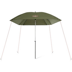 DELPHIN RAINY