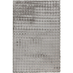 Obsessions Χαλί 200x290 Aspen 485 Silver