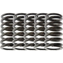 Ελατήρια Συμπλέκτη Γνήσια Honda Για Varadero 1000 03-11 HONDA 22401MBTF20-kit