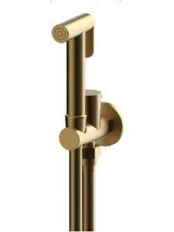 Ντους Μπιντε Μόνο Κρύο Trigger Spray Brushed Gold 500152