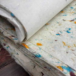 Lokta Craft & Wrapping Paper 51x76cm - Grass