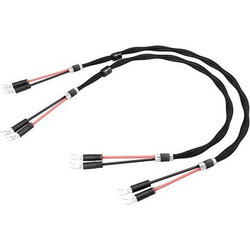 Esprit Eterna Speaker Cable 3M