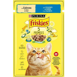 Purina Friskies 5 Promises with Salmon in Gravy 85gr