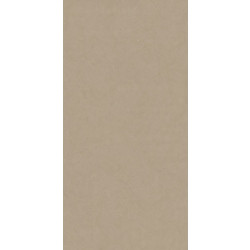 RAVENNA Plaster Ground Matt Rectified 160 x 320 6mm