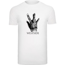 Westside Connection 2.0