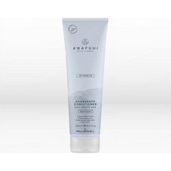 Paul Mitchell Conditioner για Επανόρθωση 250ml