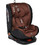 Lorelli Ares Κάθισμα Αυτοκινήτου i-Size 0-36kg ISOfix Ginger
