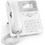 Snom D717 White
