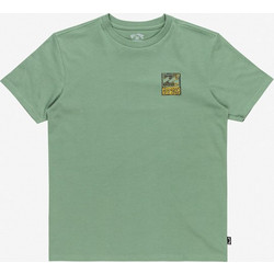 Billabong Παιδικό T-Shirt Κοντομάνικο Βεραμάν EBBZT00149