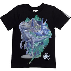Beboulino Dragon Παιδικό T-Shirt Κοντομάνικο Μαύρο 80102010006