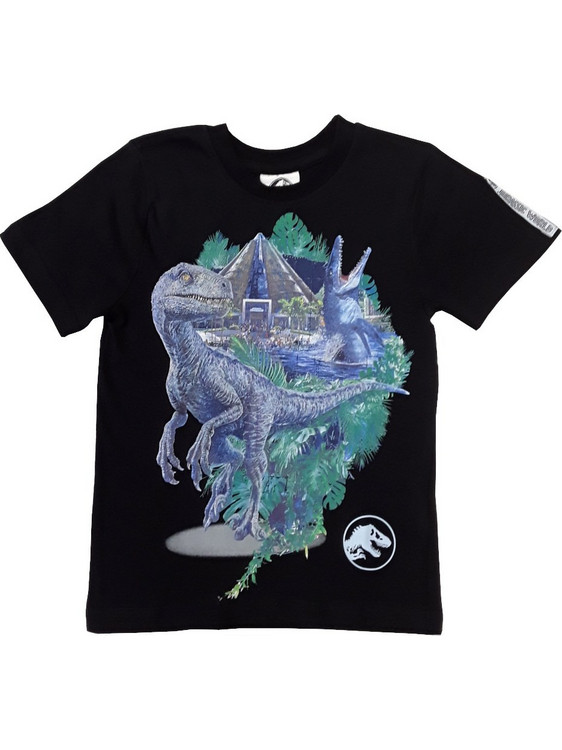 Beboulino Dragon Παιδικό T-Shirt Κοντομάνικο Μαύρο 80102010006