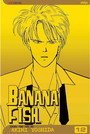 Banana Fish, Vol. 12 Banana Fish, Vol. 12
