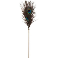 Taboom Peacock Tickler