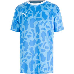 Puma Ανδρικό Αθλητικό T-Shirt Μπλε 931833-02