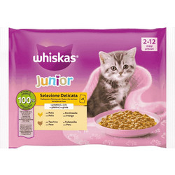 Whiskas Junior with Poultry in Jelly 4x85gr