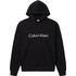 Calvin Klein Ανδρικό Φούτερ με Κουκούλα & Τσέπες Μαύρο LV04RG277G-UB1