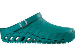 Scholl Clog Evo Green F265631361