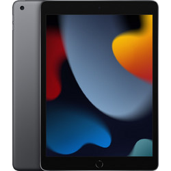 Apple iPad 10.2" 2021 WiFi 256GB