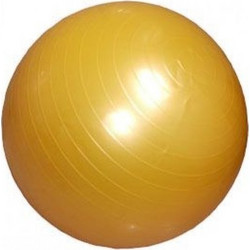 Power Force Μπάλα γυμναστικής GYM BAL WS-6008 Antibrust 55cm
