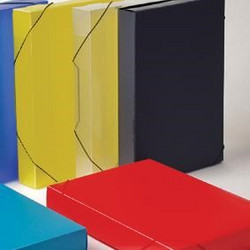 Κουτί με Λάστιχο ΡΡ 25x35x5εκ