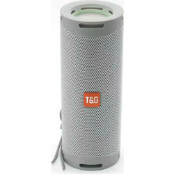 T&G TG-289 Ηχείο Bluetooth 5W με Ραδιόφωνο Ασημί