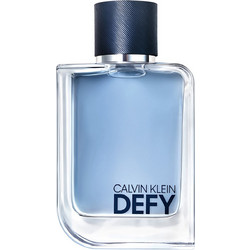 Calvin Klein Defy Eau de Toilette 100ml