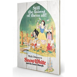 DISNEY - Printing on wood 40X59 - Snow White Still the Faires