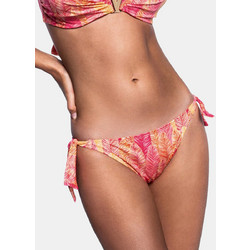 Bluepoint Bikini Bottom 23065064-06