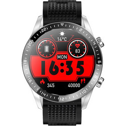 DAS.4 SL13 Silver / Black