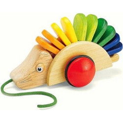 PinToys Τρεχαλίτσα Σκαντζόχοιρος