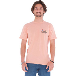 Hurley Ανδρική κοντομάνικη μπλούζα Everyday Washed Parrot Bay Tee H600