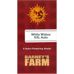 Barneys - White Widow XXL Auto - 5 seeds